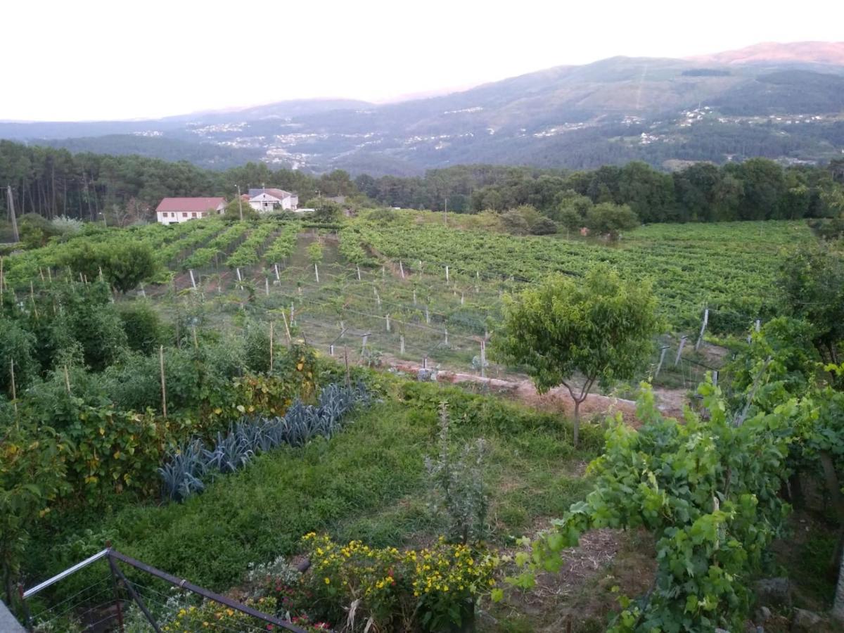 Lugar Del Pazo Nª9-Albeos Villa Dış mekan fotoğraf